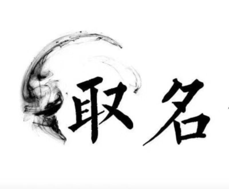  河东宝宝取名 大师一对一人工起名